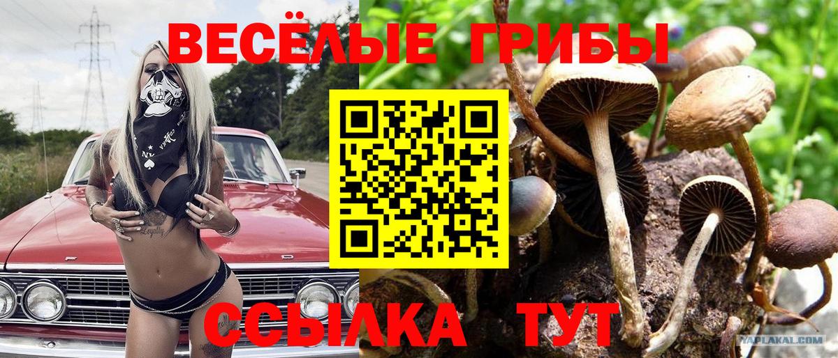 АМФЕТАМИН Знаменск